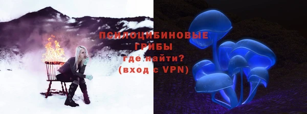 2c-b Лабытнанги
