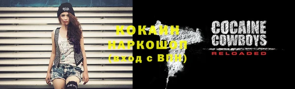 МДПВ Лиски