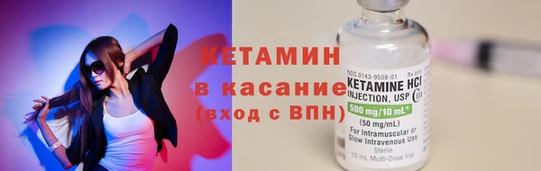 шишки Магас