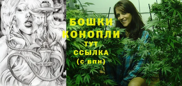 МДПВ Лиски