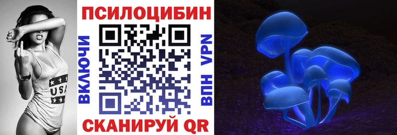 купить  сайты  Бийск  Галлюциногенные грибы Psilocybe 