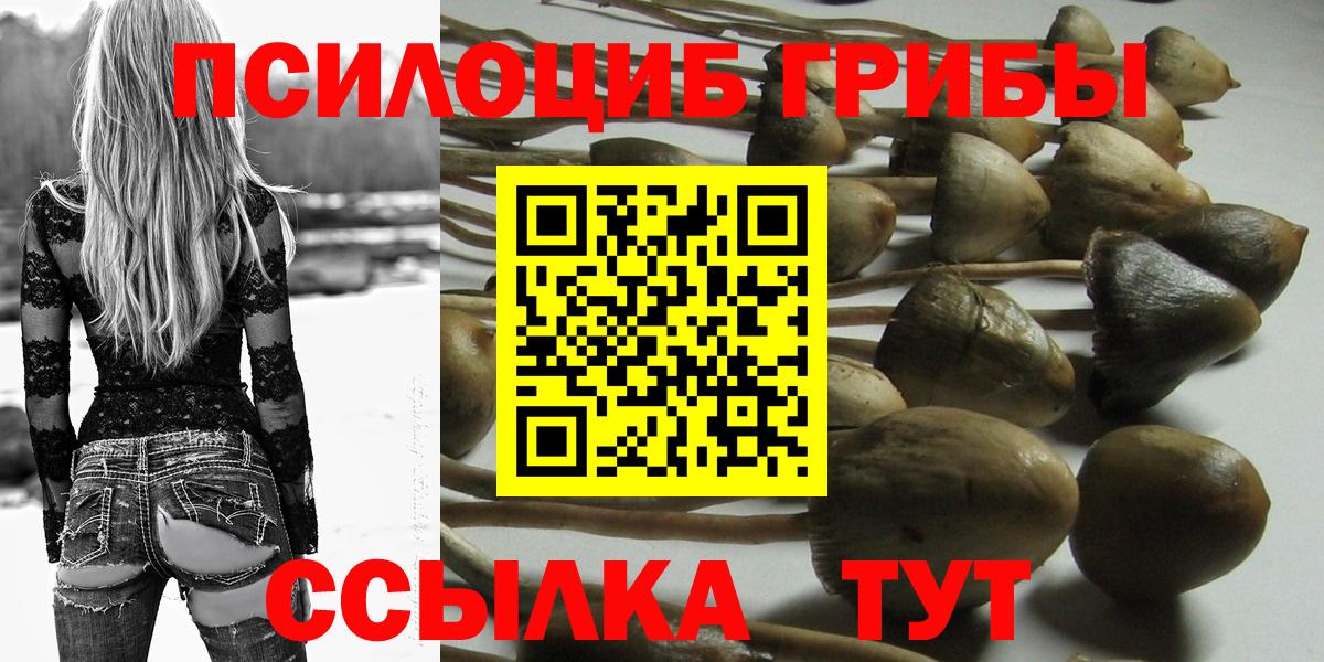 Псилоцибиновые грибы мицелий Бийск