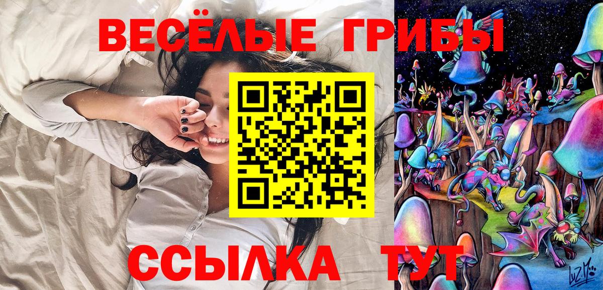 Псилоцибиновые грибы мухоморы  сколько стоит  Бийск 